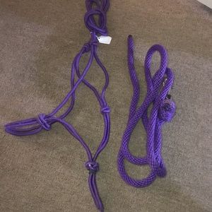 Purple Horse halter w/ lead rope horse tack)